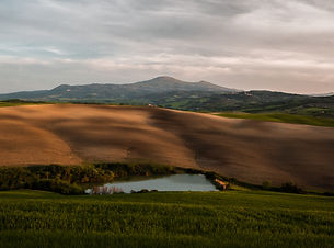 Image by Stefano Bernardo