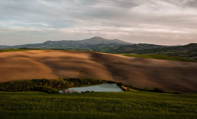 Image by Stefano Bernardo