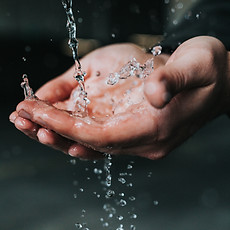 Image by Nathan Dumlao