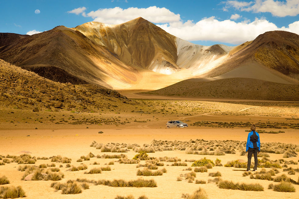 Parque nacional Lauca national park, chile
