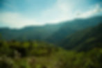 Image by Rogelio Gonzalez