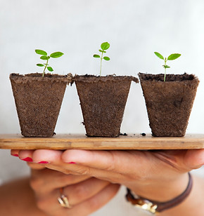 이미지 제공: Daniel Öberg