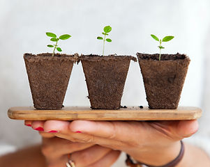 Billede af Daniel Öberg