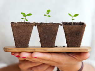 Grow others and you grow too.