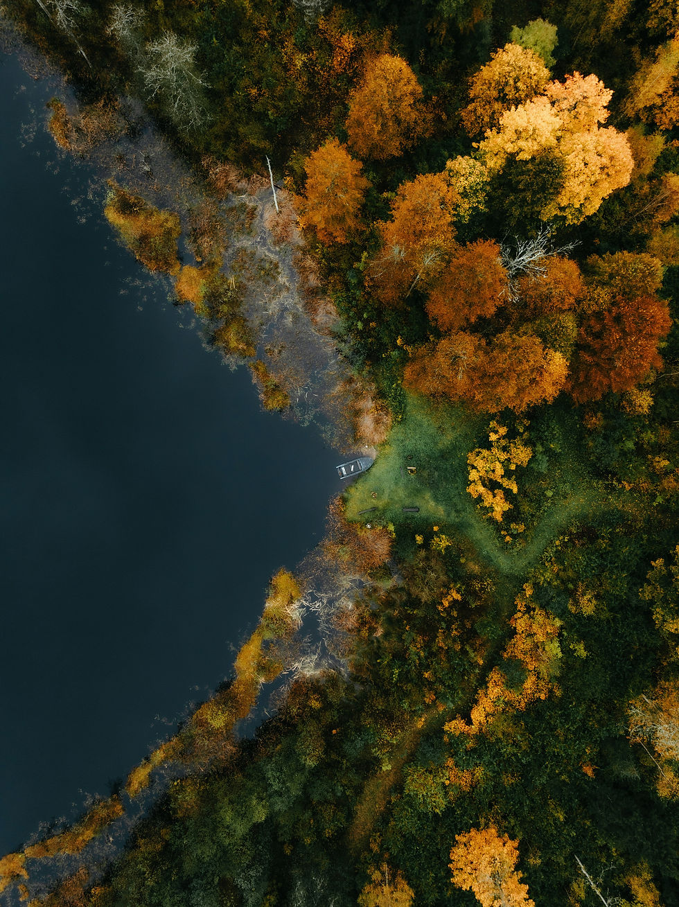 "Coming Home to Self: The Evolving Meaning of Spirituality ...By Meenakshi Raina