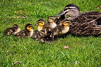 Image by Katelyn Greer