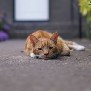 Managing Fatigue During Breast Cancer Treatment: Tips for Conserving Energy