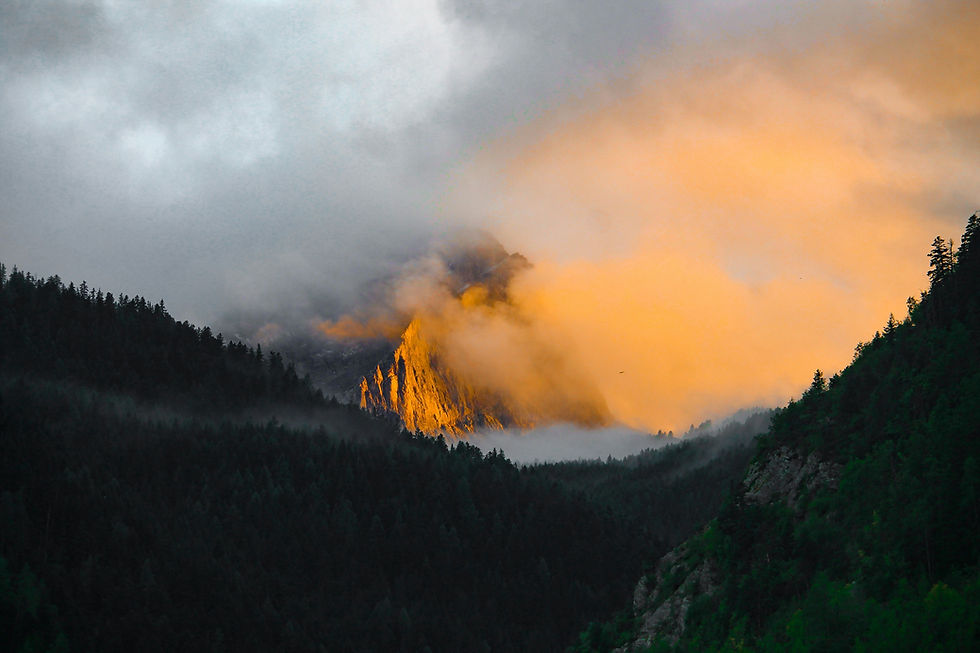 What Travellers Need to Know About France Wildfire Conditions