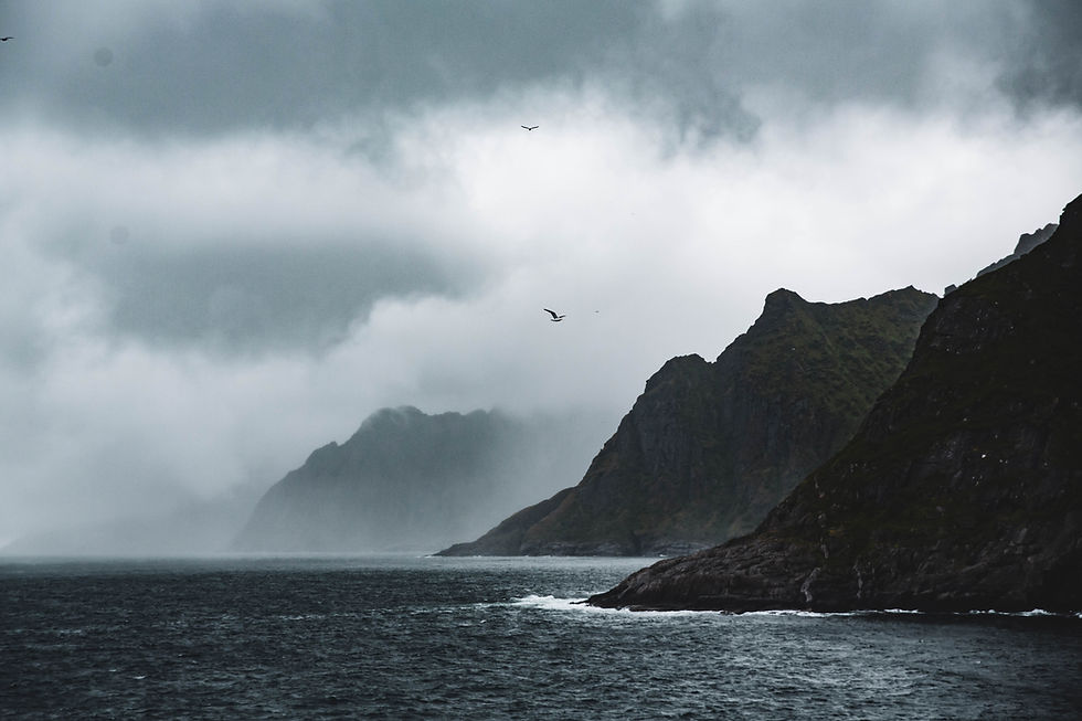Image by Sadan Ekdemir