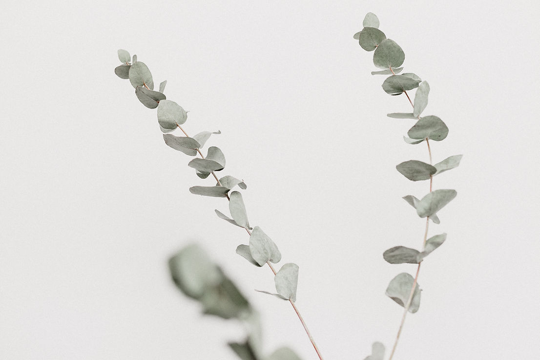 Image by Georgia de Lotz