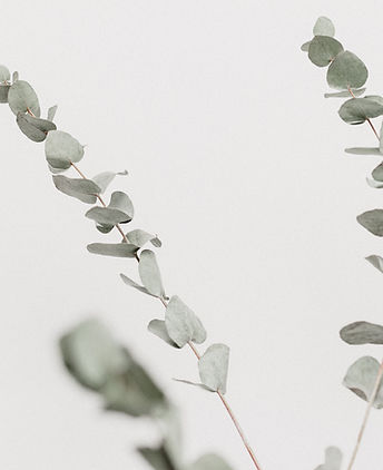 Image by Georgia de Lotz