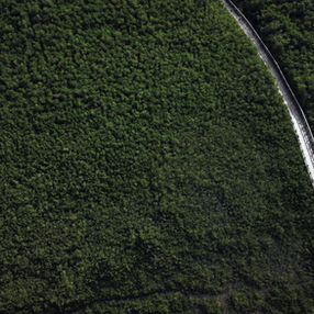 Biodiversity Net Gain: The Latest 