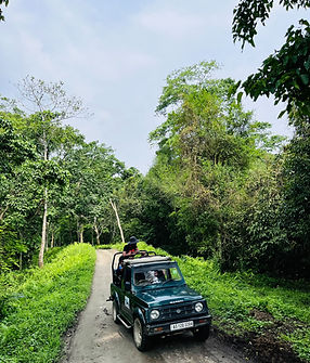 Image by Vincenzo Cassano