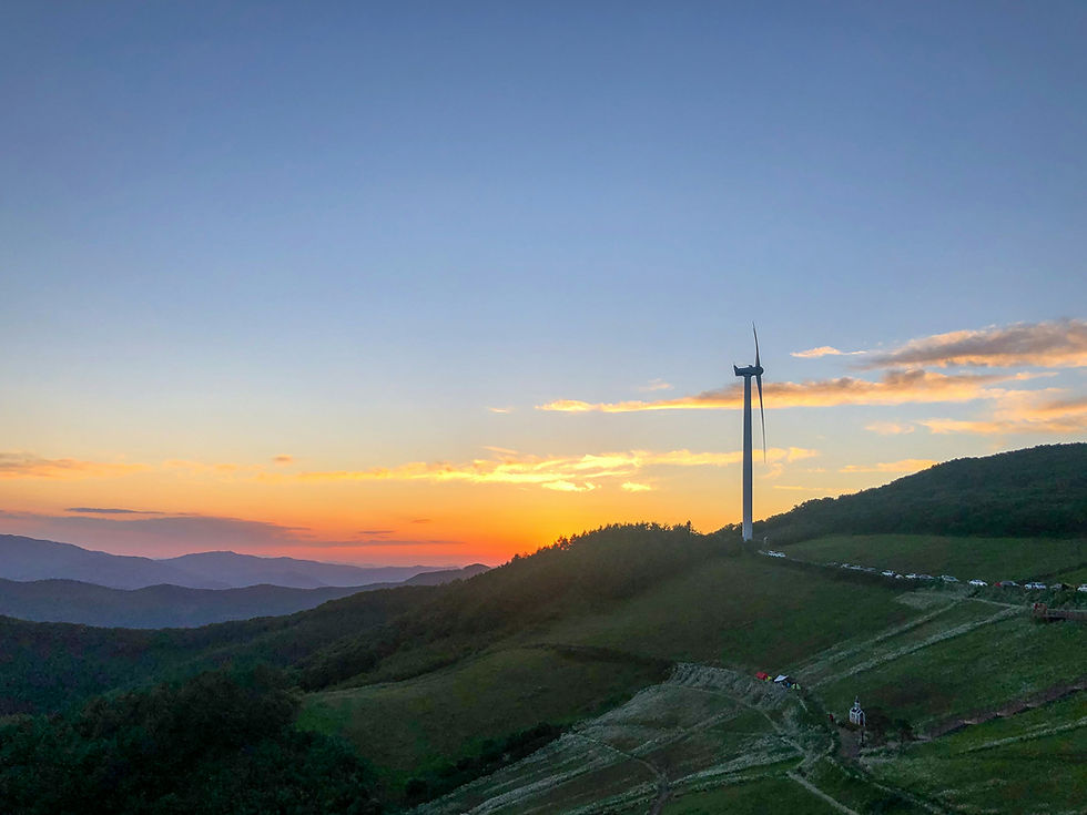 강원 오피 완벽 가이드