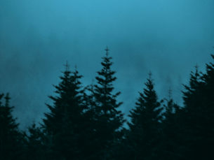 Lament During the Season of Joy (bE+)