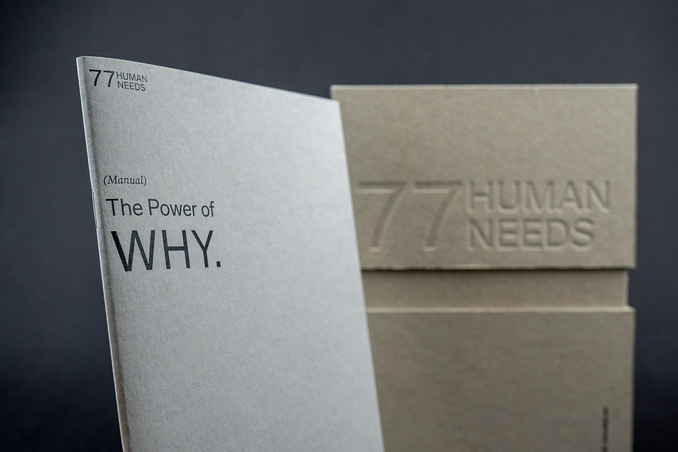 Image by The 77 Human Needs System