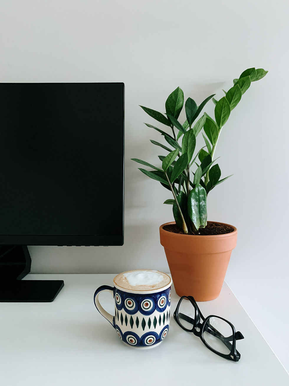 Low light plant, indoor plant removes toxin