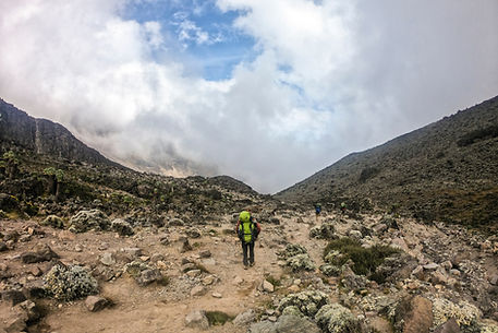 Kilimanjaro daytrip