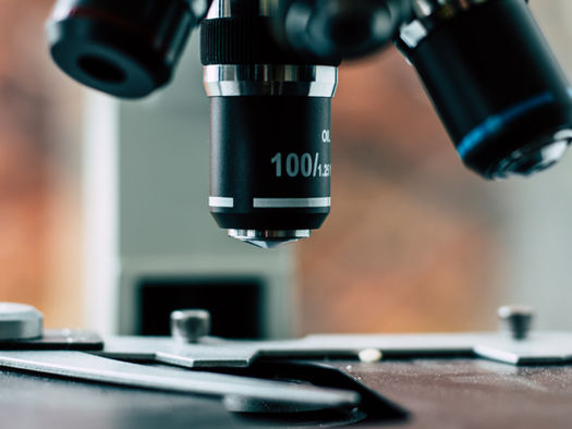 Ensuring Excellence in Laboratory Management with MDSS Document Storage Solutions