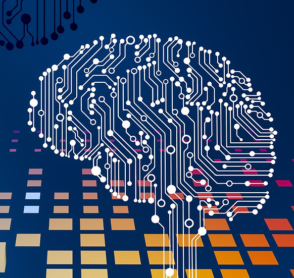 Image by Steve A Johnson