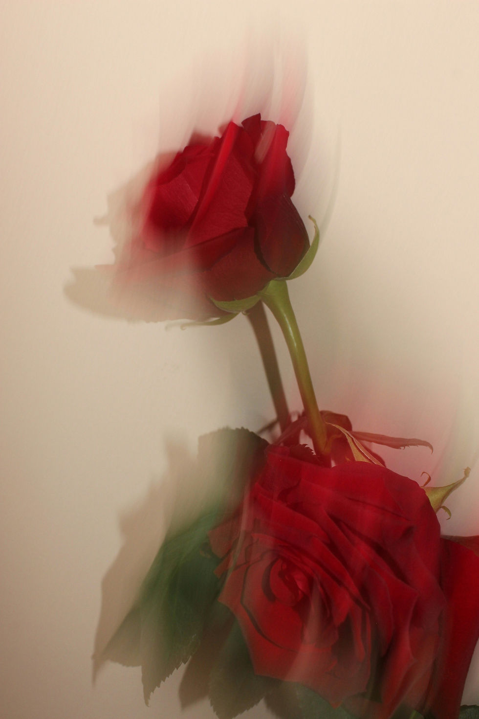 Image by Nino Korkelia