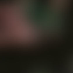 Why Affordable Soil Testing Matters for Every Farmer?