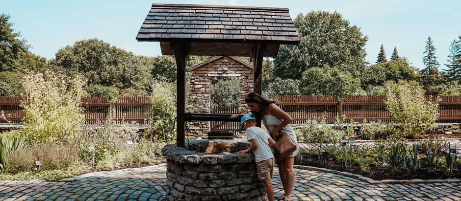 Introducing the Wellness Well