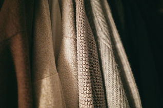 Image by Haley Truong