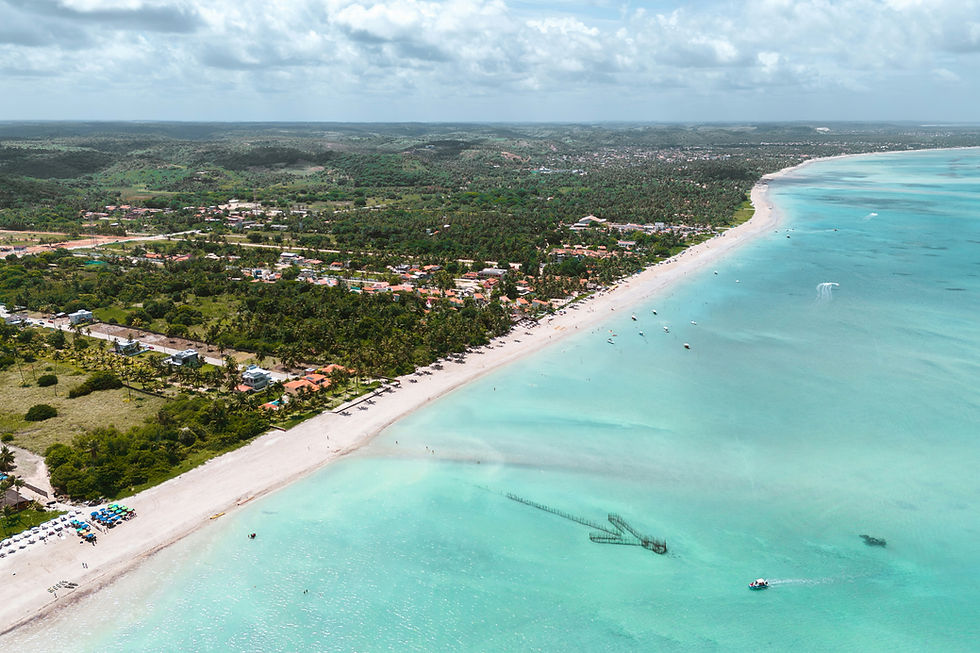 Aerial view of Maragogi, a long strip of white sand meeting clear turquoise water