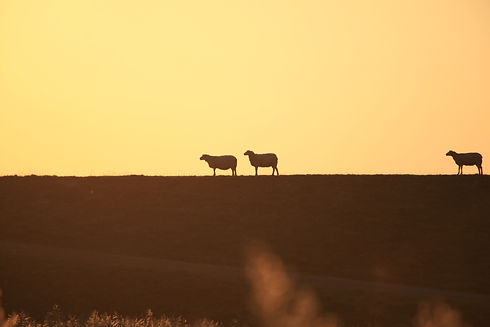 Image by Julia Weihe