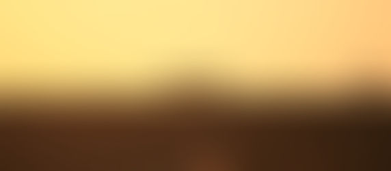 Silhouettes of three sheep on a hill at sunset, set against a warm, golden sky. The mood is peaceful and serene.