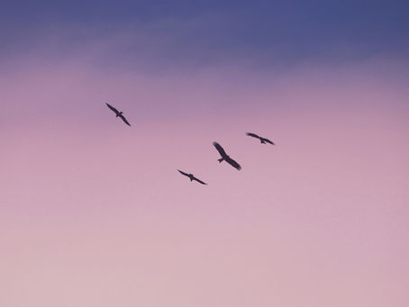 A different kind of freedom