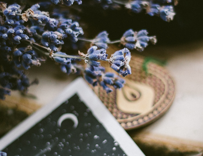 Image by Ksenia Yakovleva