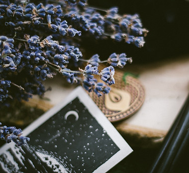 Image by Ksenia Yakovleva