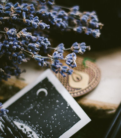 Image by Ksenia Yakovleva