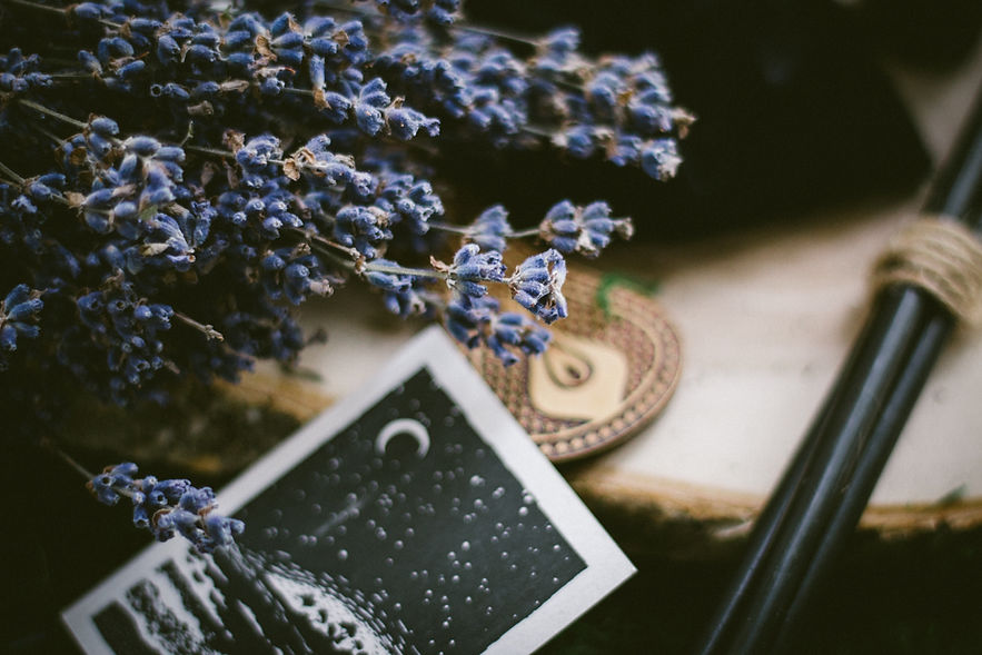 Image by Ksenia Yakovleva