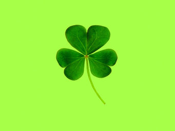 Luck O' the Library