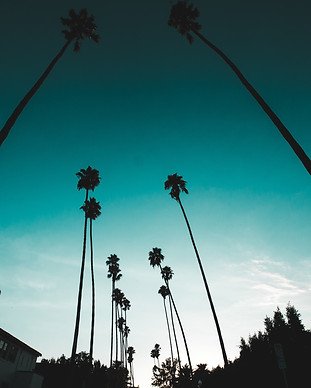 Image by Steven Pahel