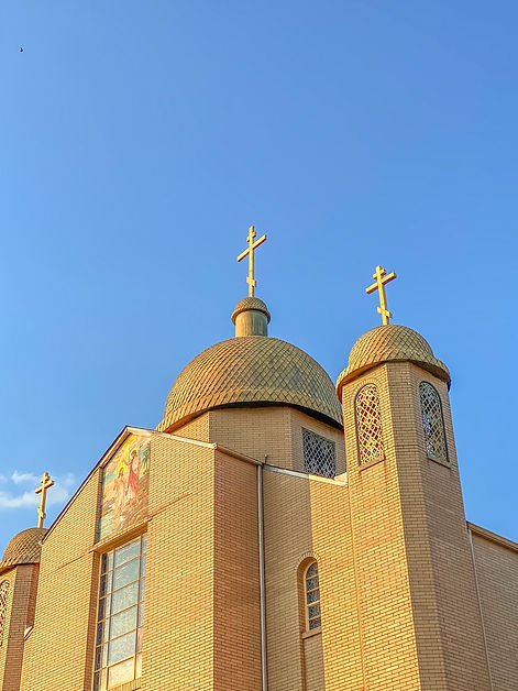 Image by Allie Reefer