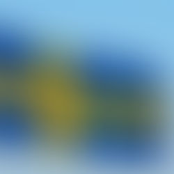 Svenska flaggan