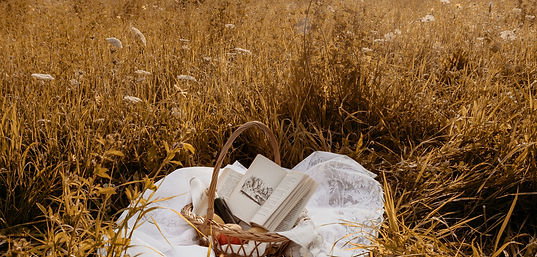 Image by Camille Brodard