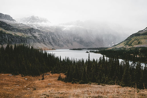 Image by Earth