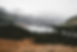 Image by Earth