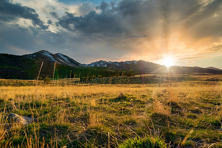 Image by Brandon Green