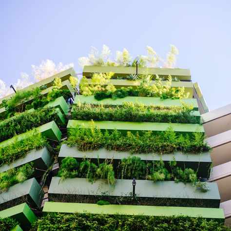 Growing Media Europe publishes Sustainability Agenda