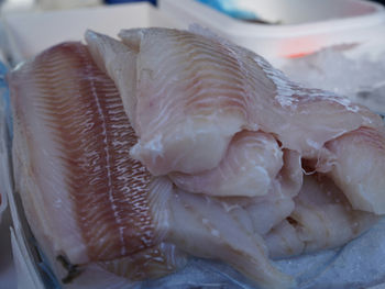 EU proposes ban on Russian cod imports as fisheries sector targeted in latest sanctions package