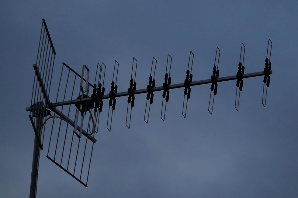 Image by Marco Contardo