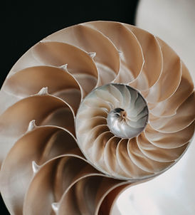 Image by Content Pixie