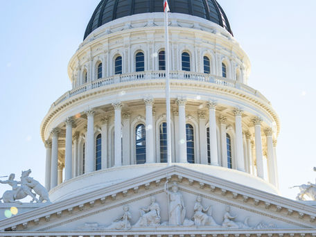 Historic Win: CA Legislators Pass AB 715