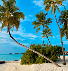 Image by Mike Swigunski